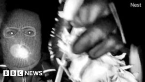 FTB analizuoja rastas pirštines, kurios, atrodo, sutampa su Guthrie įtariamojo vaizdo įraše